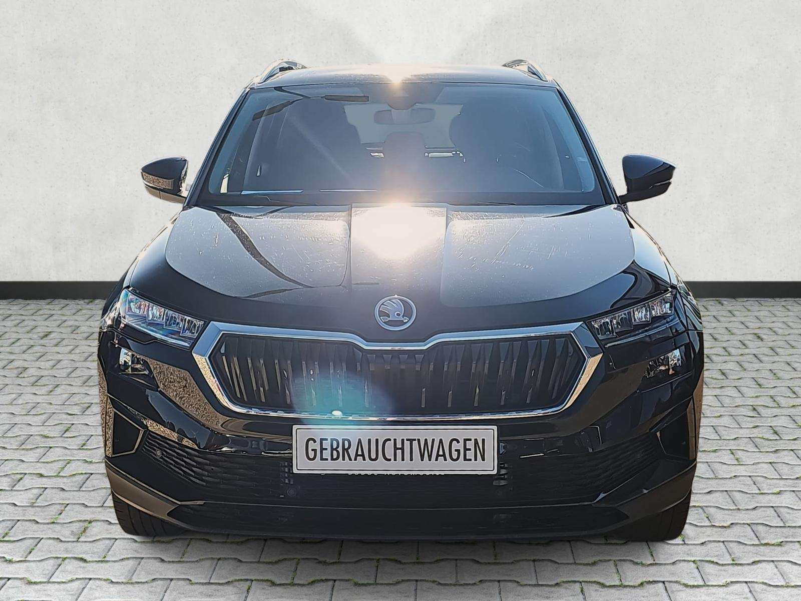 Fahrzeugbild eines Skoda Karoq