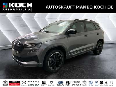 Bild Skoda Karoq