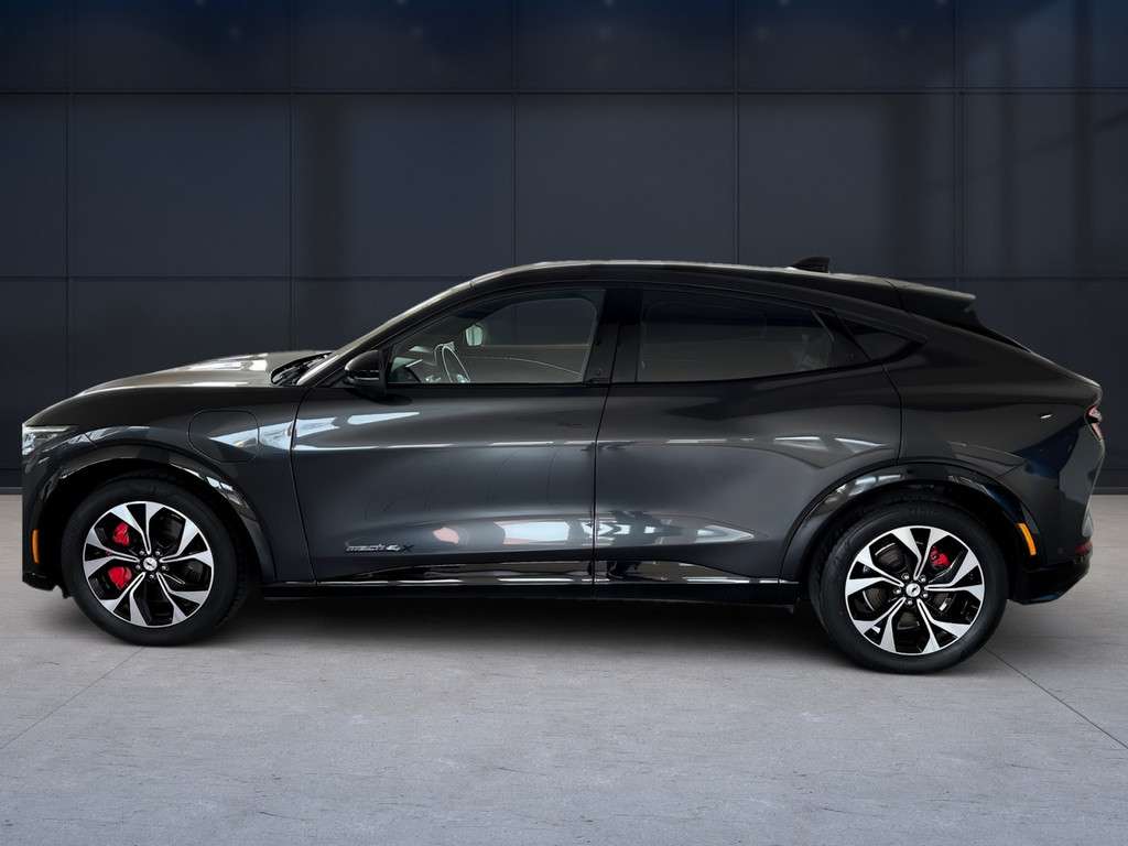 Fahrzeugbild eines Ford Mustang Mach-E