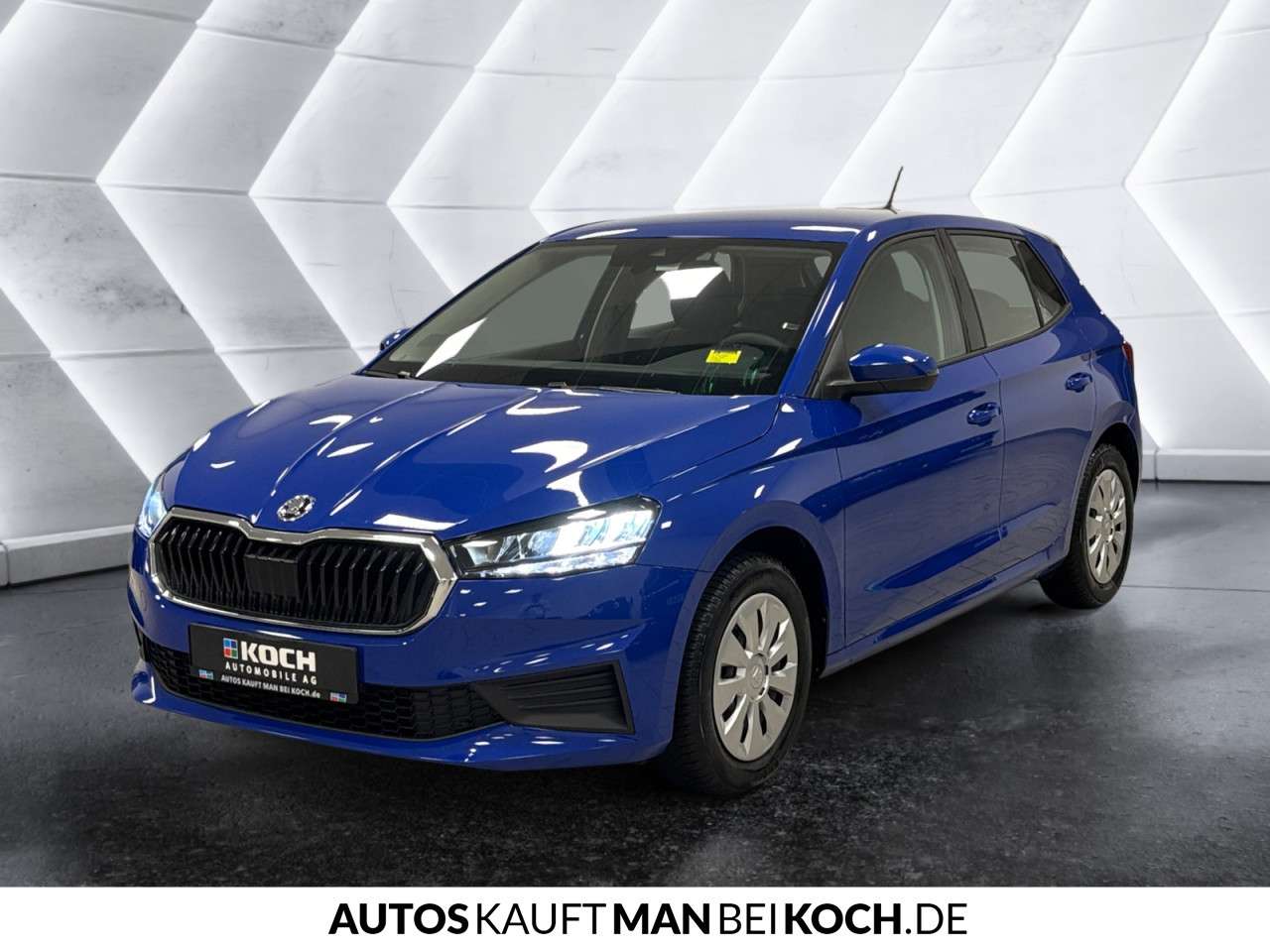 Fahrzeugbild eines Skoda Fabia