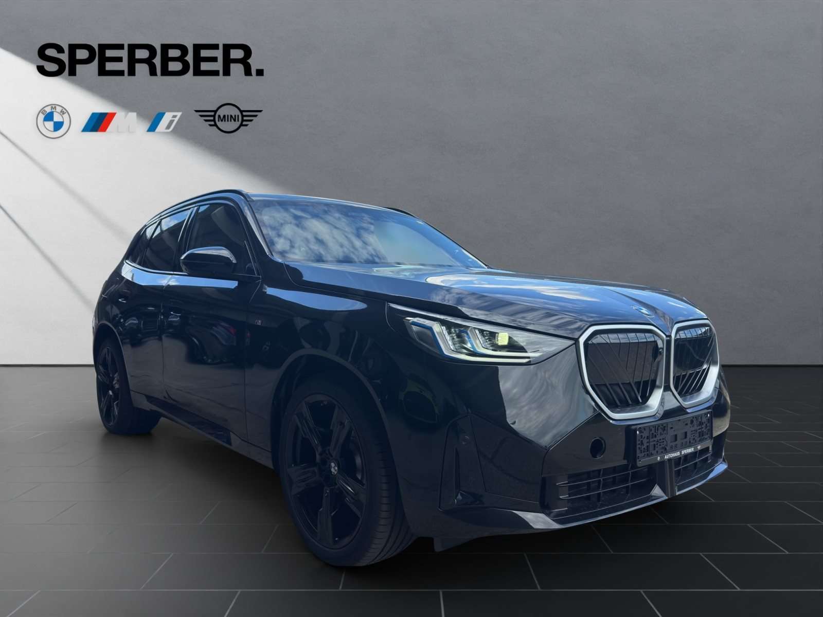 Fahrzeugbild eines BMW X3