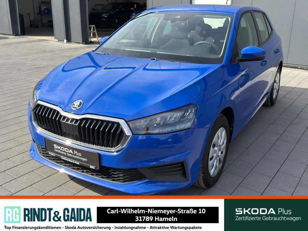 Fahrzeugbild eines Skoda Fabia