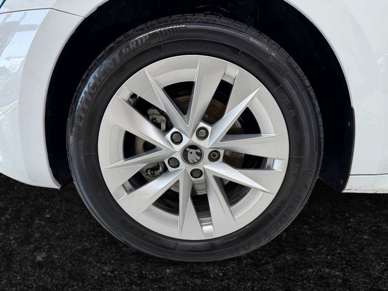 Fahrzeugbild eines Skoda Octavia
