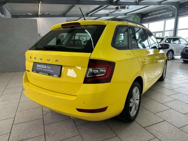 Fahrzeugbild eines Skoda Fabia