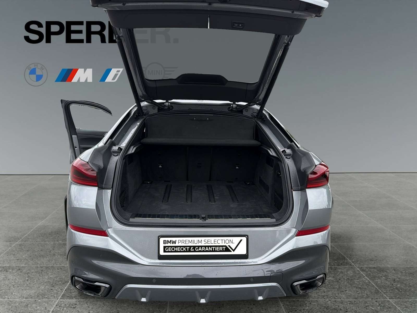 Fahrzeugbild eines BMW X6