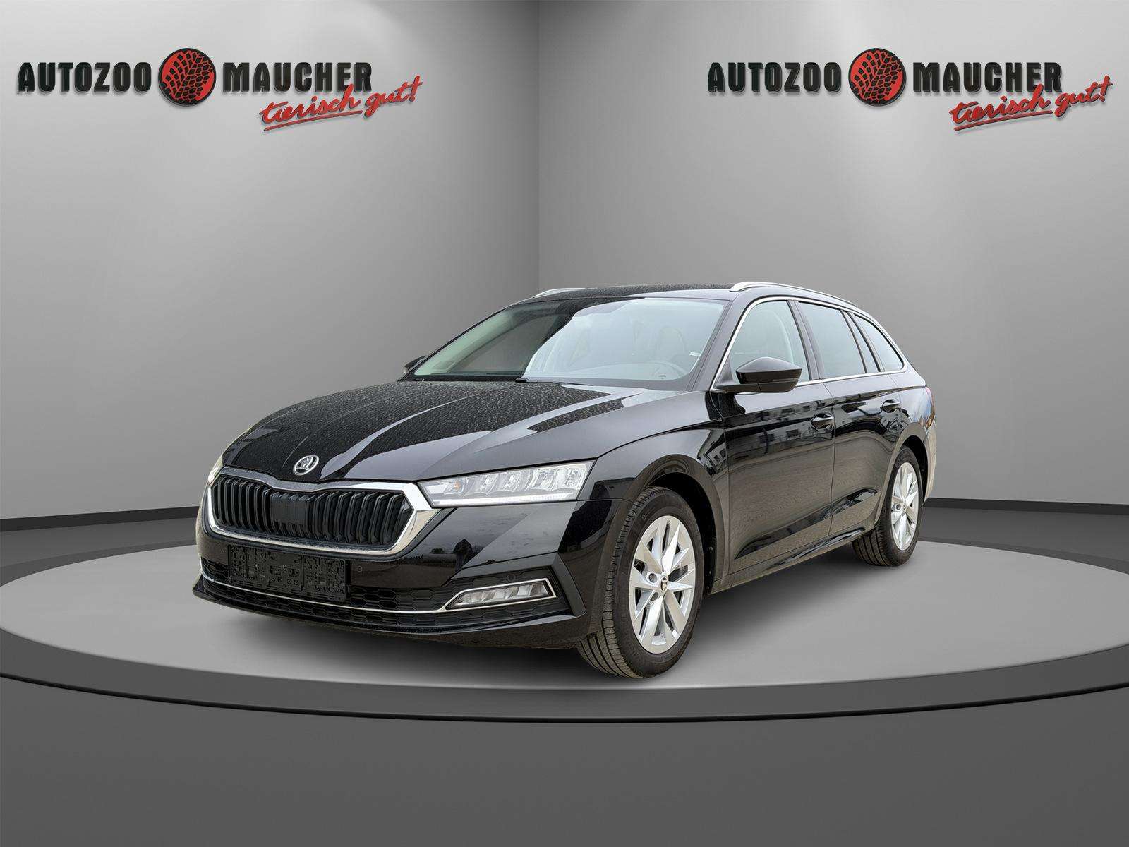 Fahrzeugbild eines Skoda Octavia