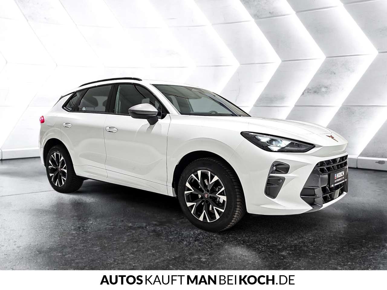 Fahrzeugbild eines CUPRA Terramar