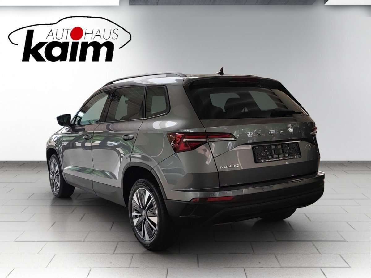 Fahrzeugbild eines Skoda Karoq