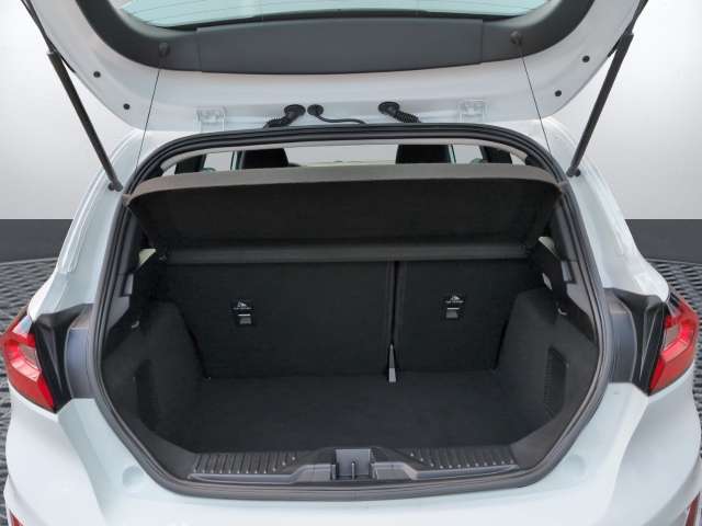 Fahrzeugbild eines Ford Fiesta