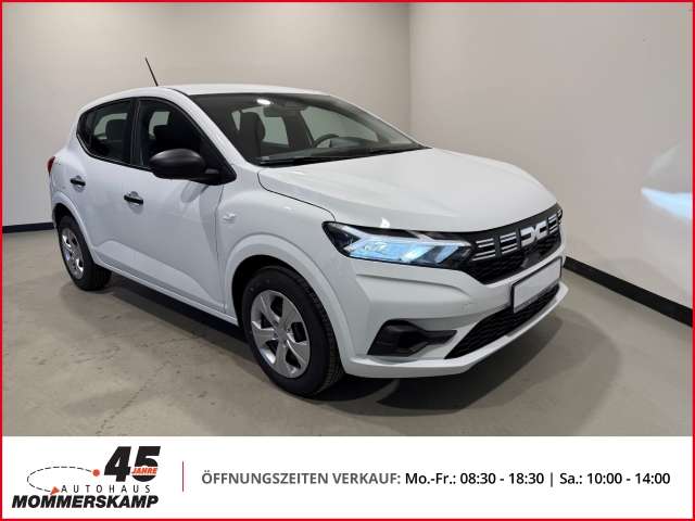Fahrzeugbild eines Dacia Sandero