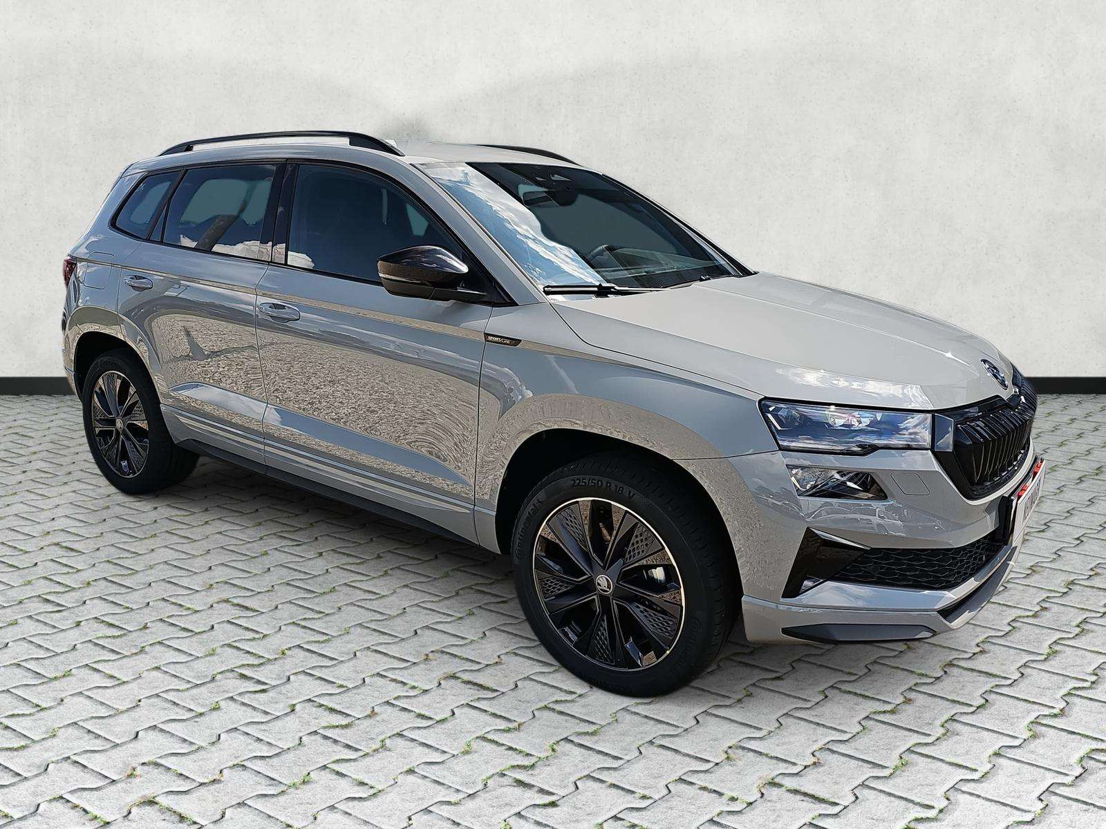 Fahrzeugbild eines Skoda Karoq