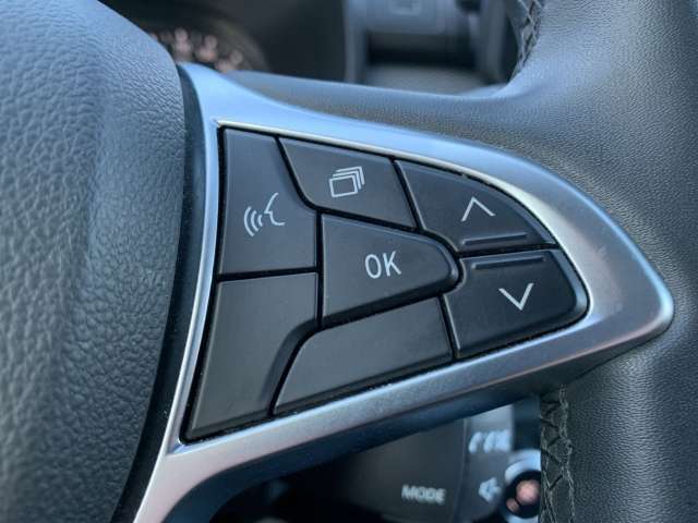 Fahrzeugbild eines Dacia Jogger