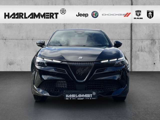 Fahrzeugbild eines Alfa Romeo Junior