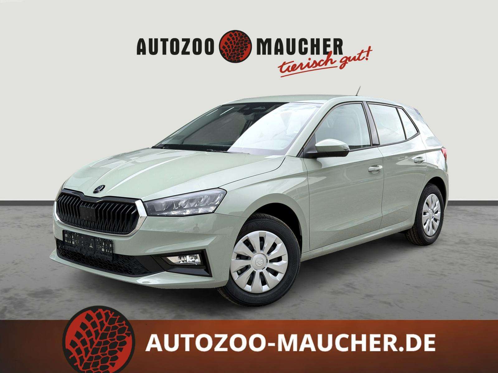 Fahrzeugbild eines Skoda Fabia