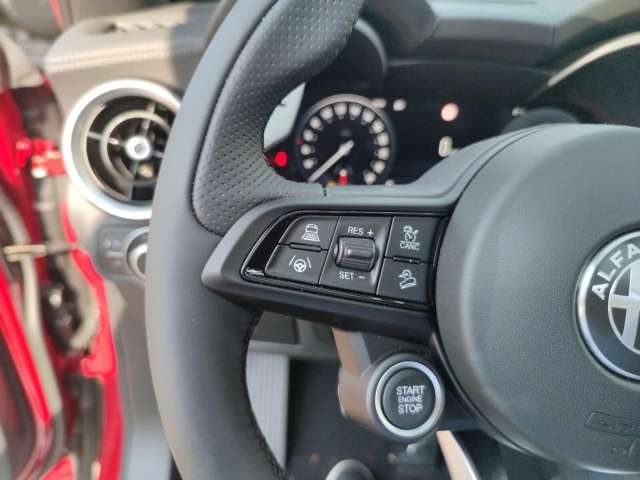 Fahrzeugbild eines Alfa Romeo Stelvio