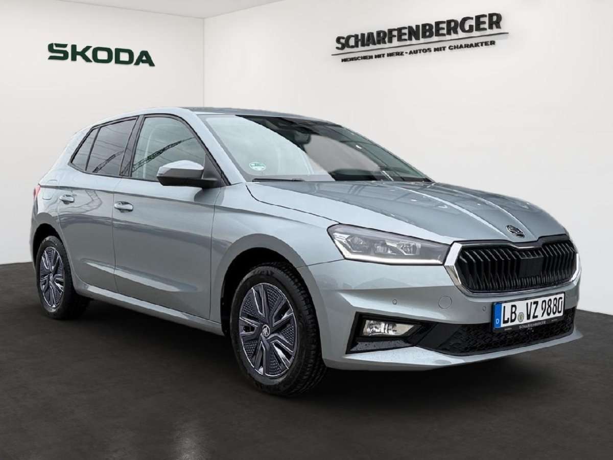 Fahrzeugbild eines Skoda Fabia