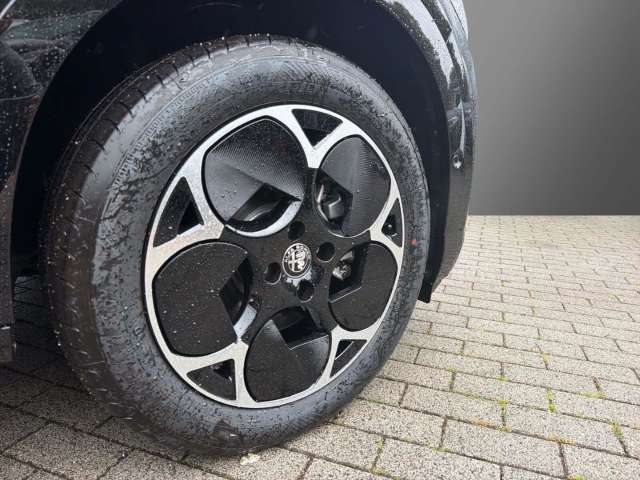 Fahrzeugbild eines Alfa Romeo Junior
