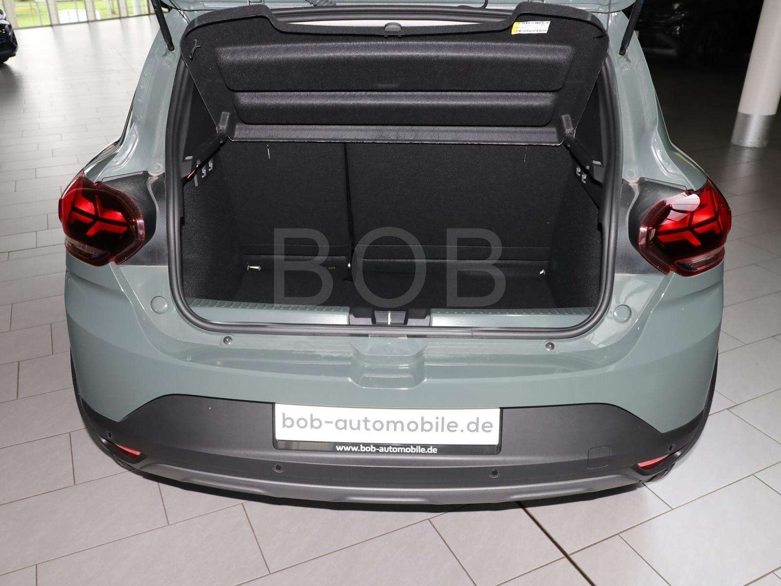 Fahrzeugbild eines Dacia Sandero