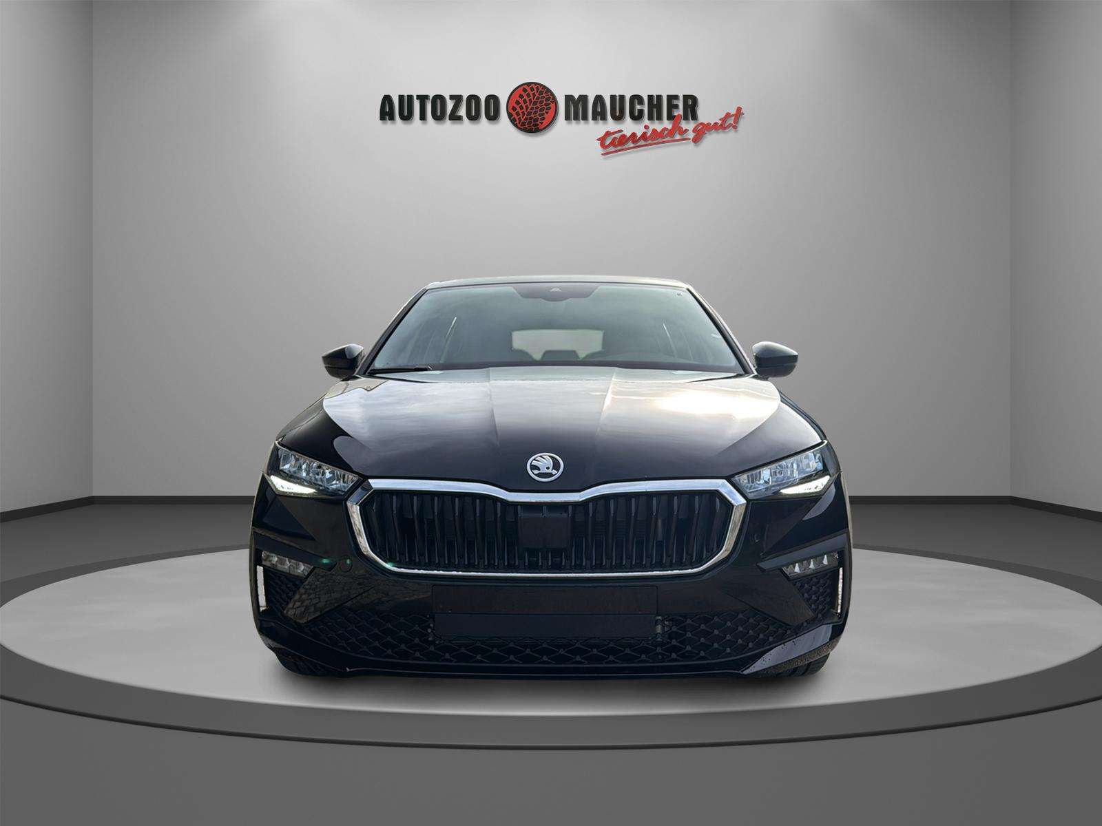 Fahrzeugbild eines Skoda Scala