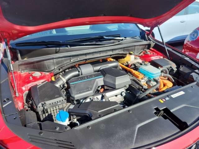 Fahrzeugbild eines Kia Sorento