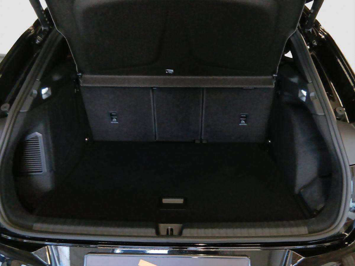 Fahrzeugbild eines CUPRA Terramar