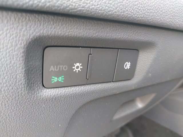 Fahrzeugbild eines Skoda Octavia