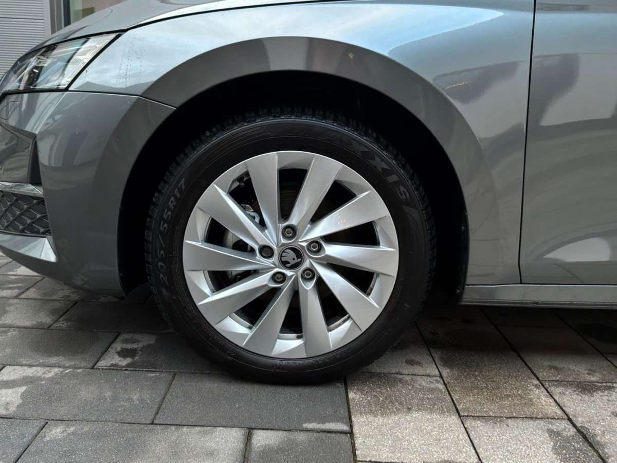 Fahrzeugbild eines Skoda Octavia