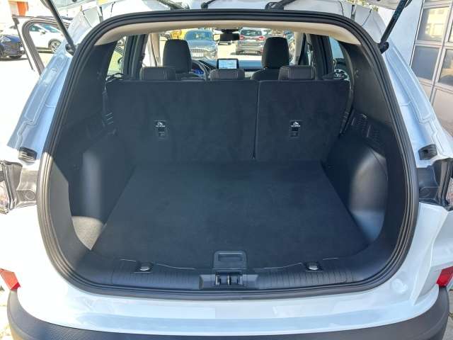 Fahrzeugbild eines Ford Kuga