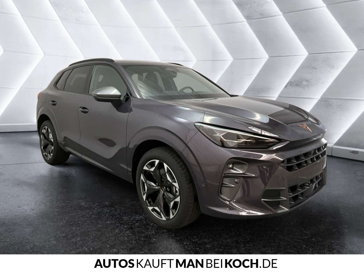 Fahrzeugbild eines CUPRA Terramar