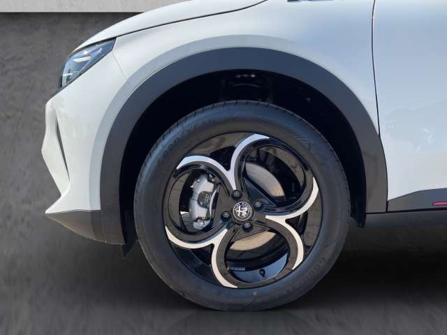 Fahrzeugbild eines Alfa Romeo Junior