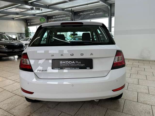 Fahrzeugbild eines Skoda Fabia