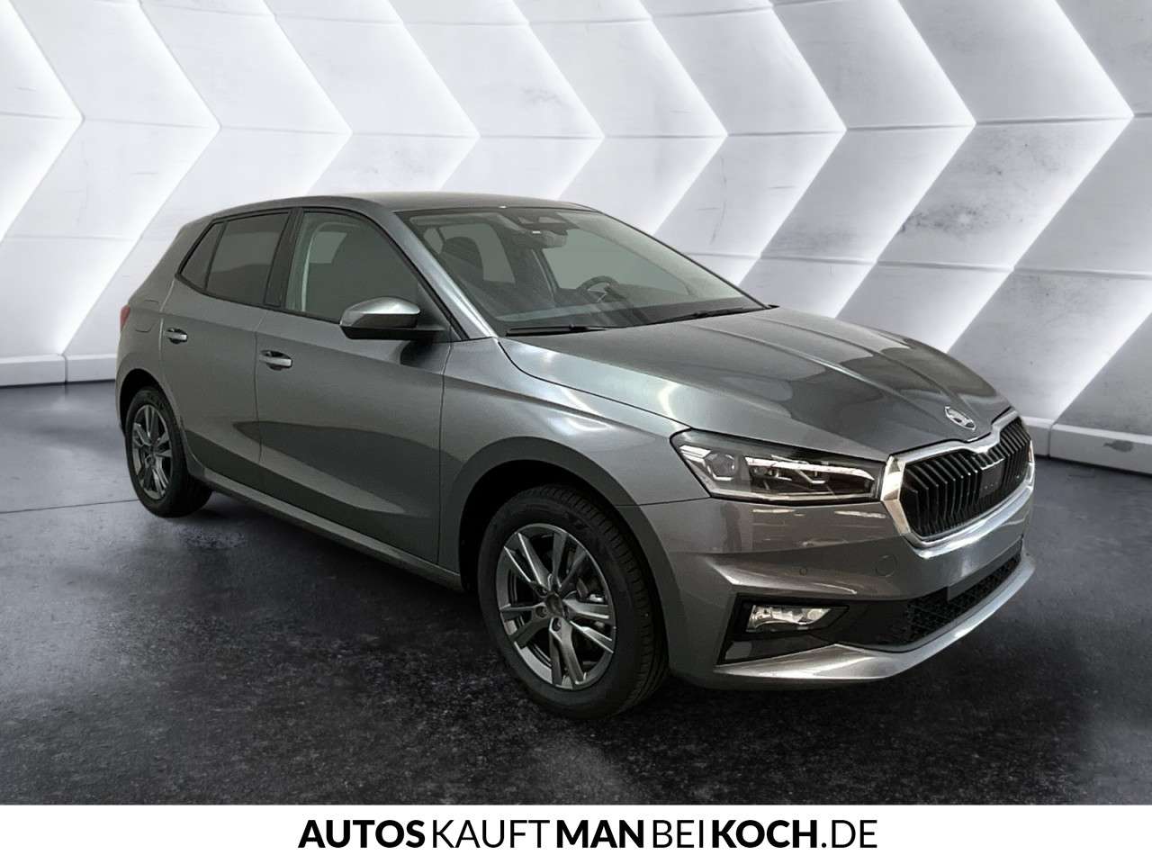 Fahrzeugbild eines Skoda Fabia