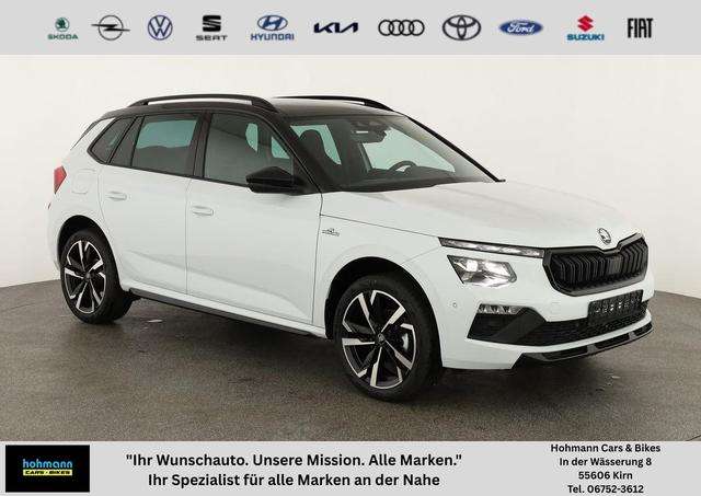 Fahrzeugbild eines Skoda Kamiq