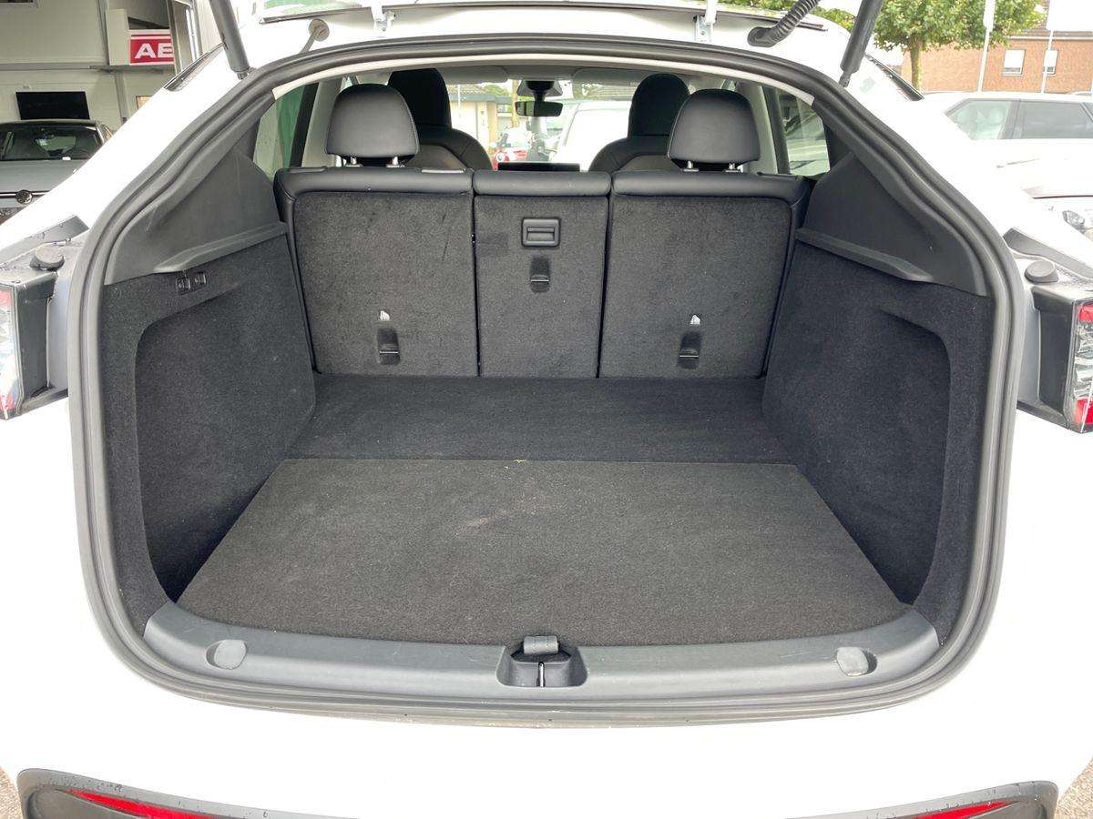 Fahrzeugbild eines TESLA Model Y