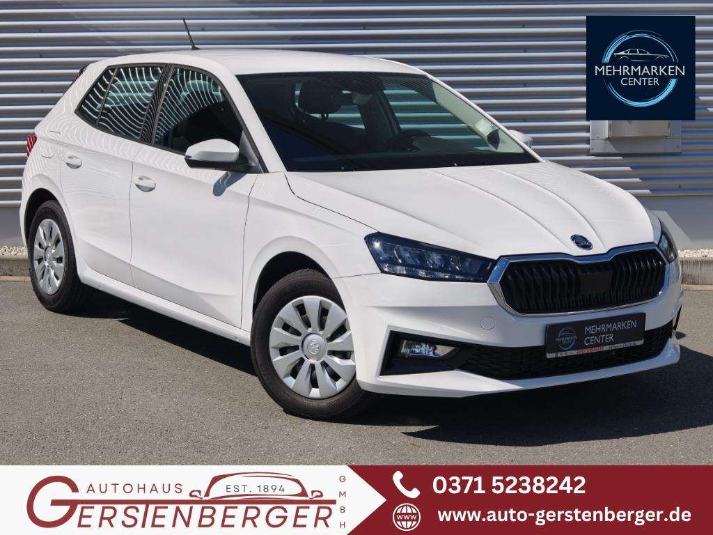 Fahrzeugbild eines Skoda Fabia