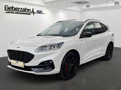 Bild Ford Kuga