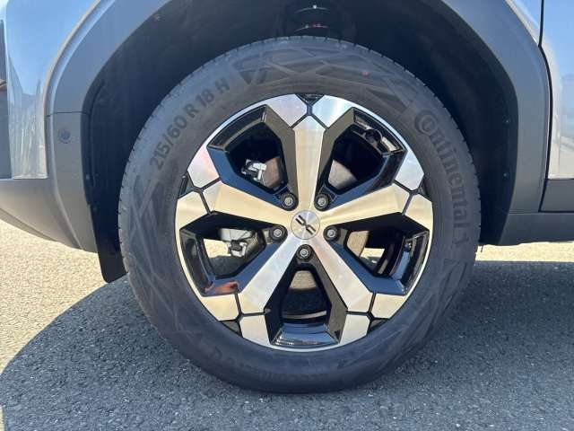 Fahrzeugbild eines Dacia Bigster