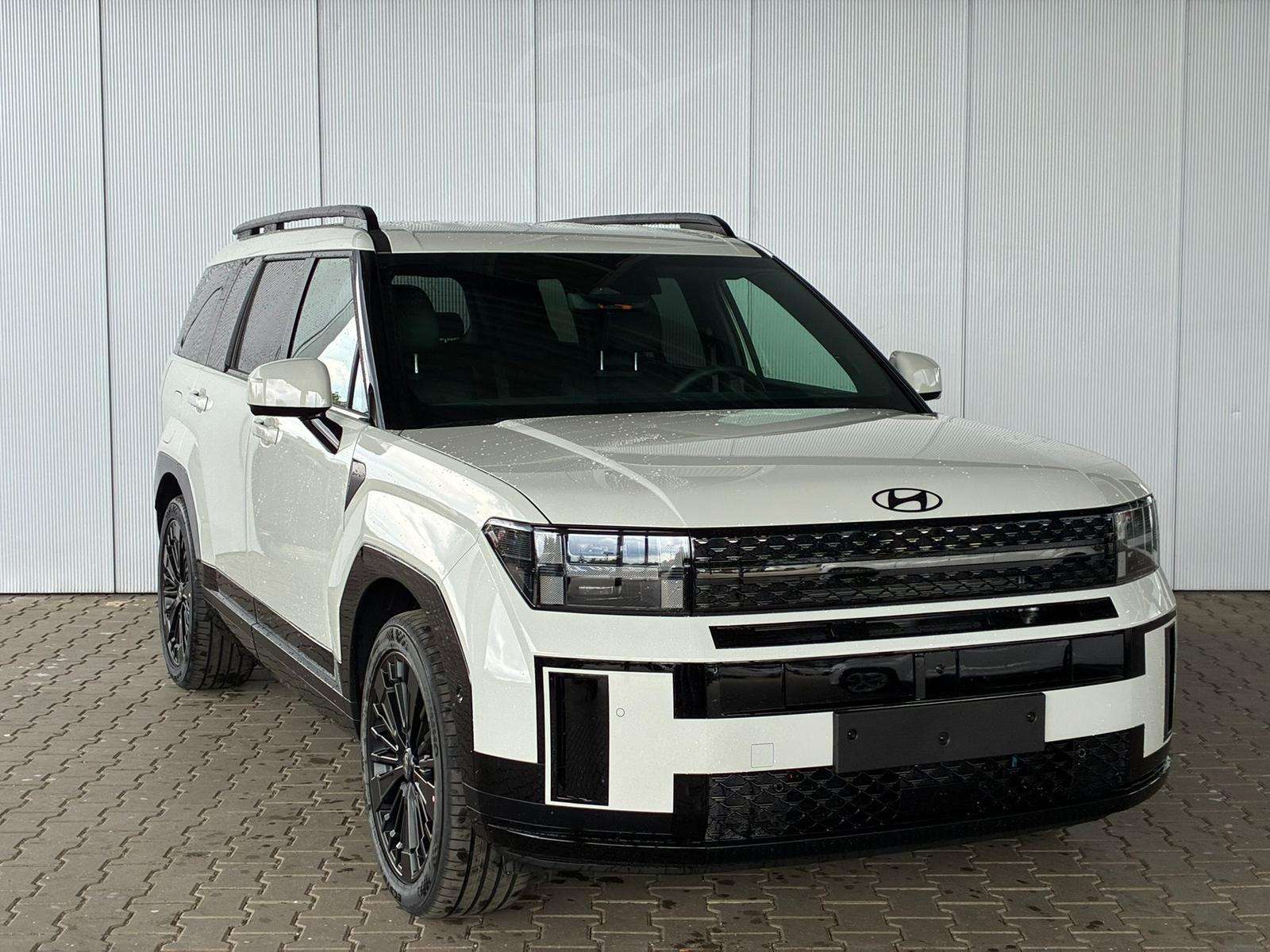 Fahrzeugbild eines Hyundai Santa Fe