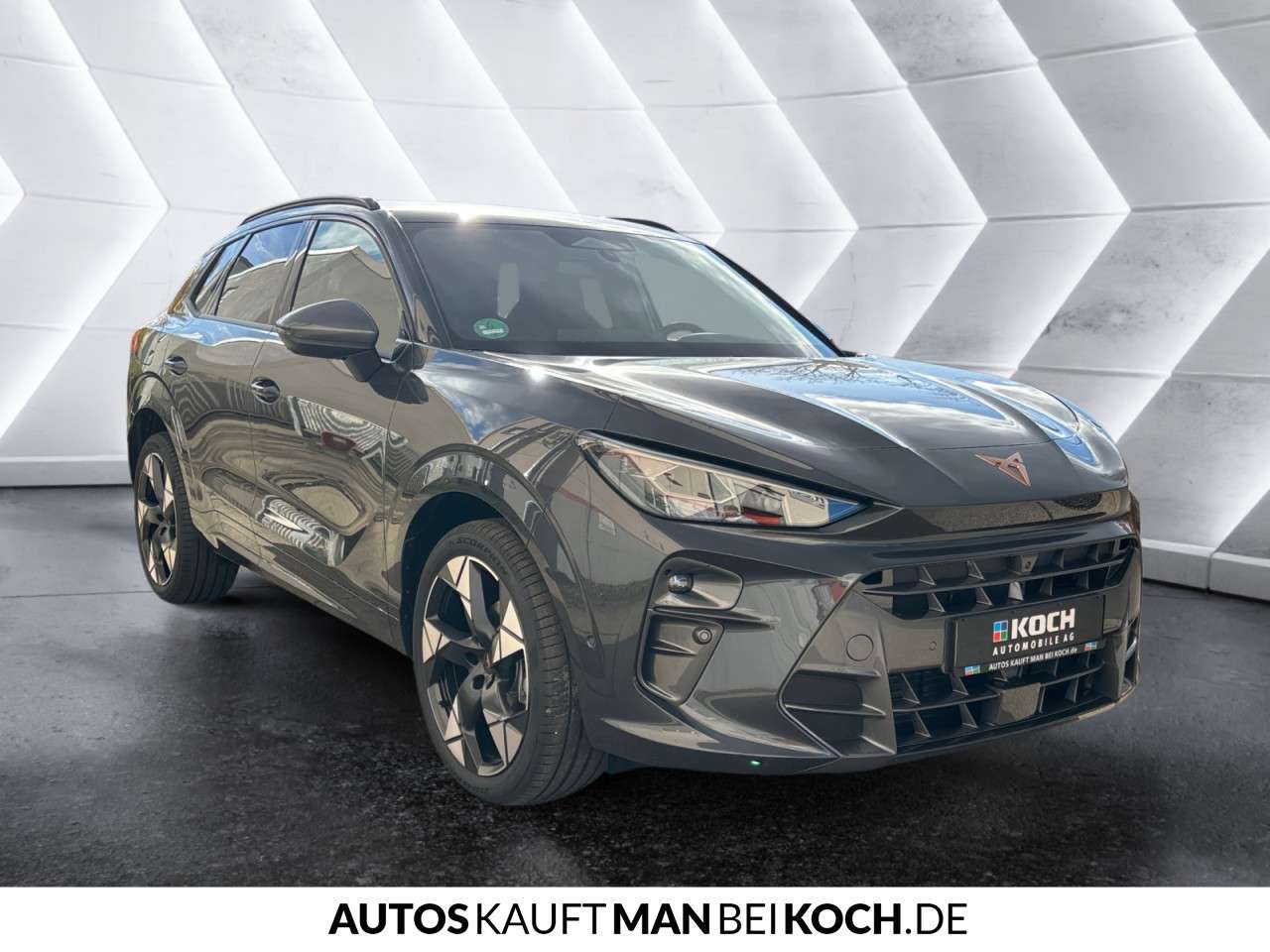 Fahrzeugbild eines CUPRA Terramar