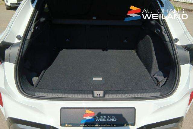 Fahrzeugbild eines CUPRA Terramar