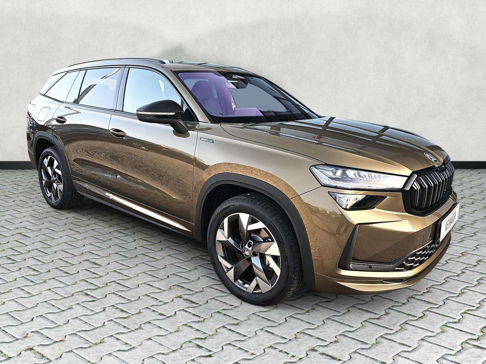 Fahrzeugbild eines Skoda Kodiaq