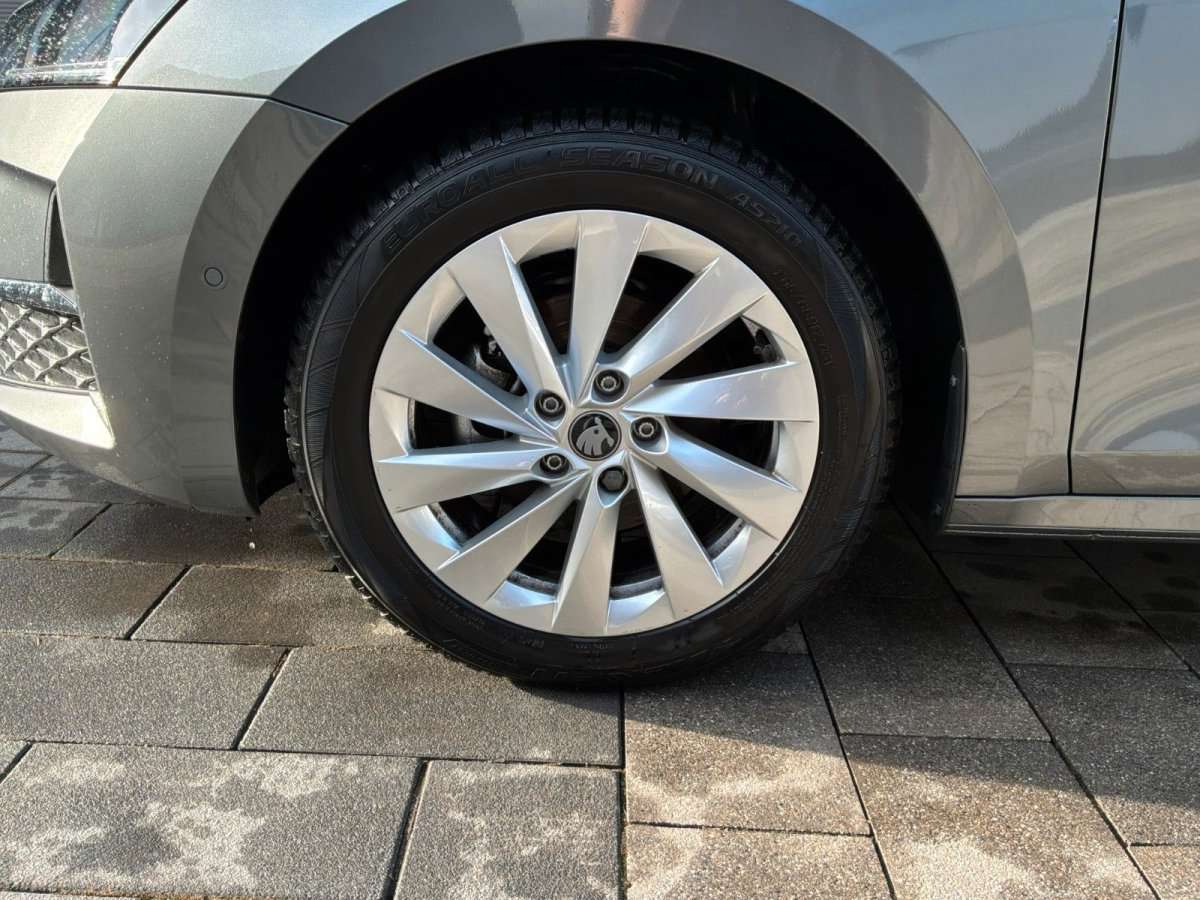 Fahrzeugbild eines Skoda Octavia