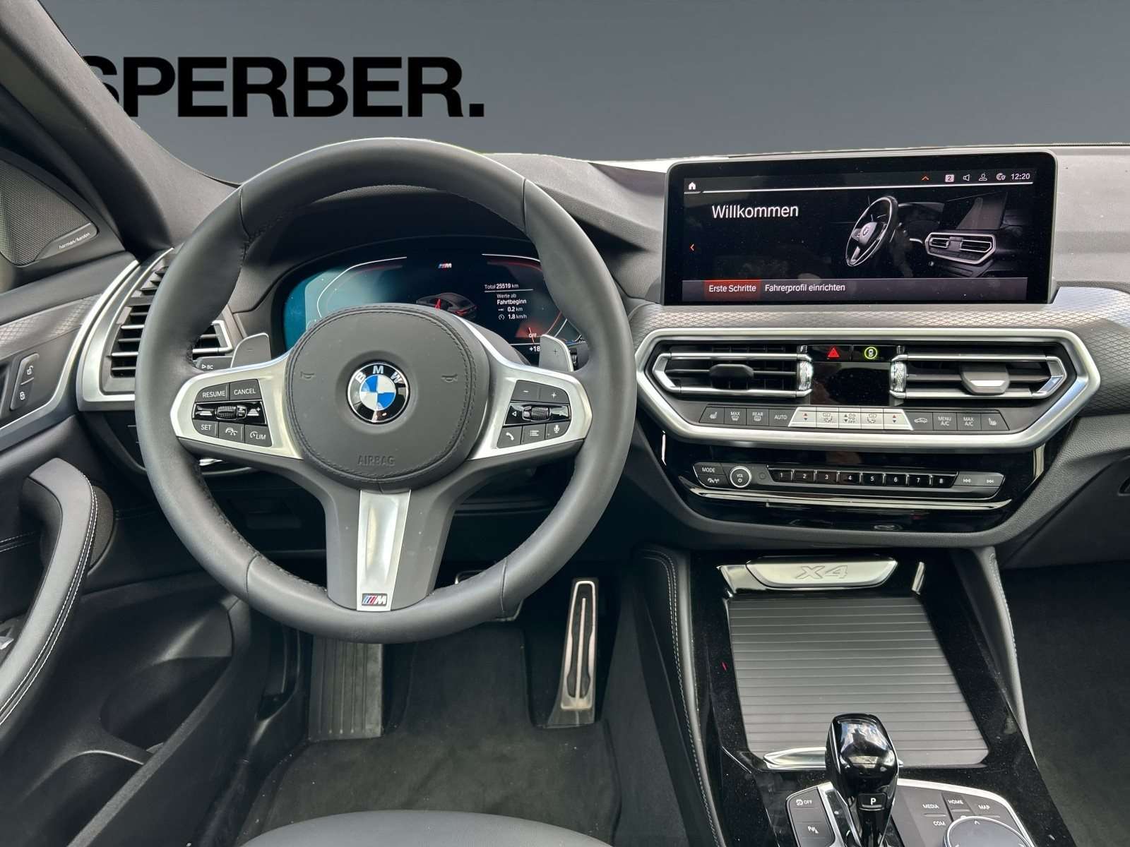 Fahrzeugbild eines BMW X4