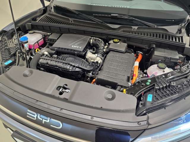 Fahrzeugbild eines BYD Atto 2