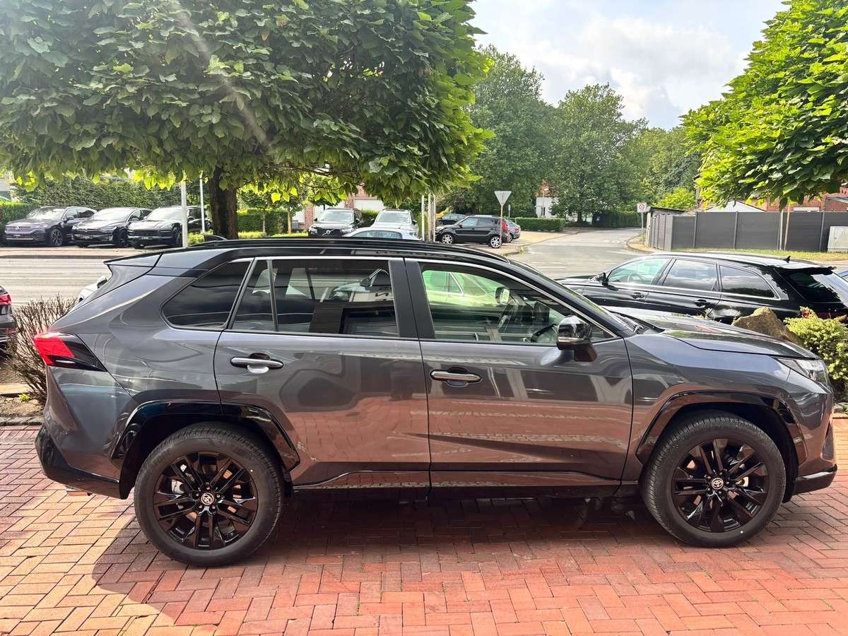 Fahrzeugbild eines Toyota RAV4