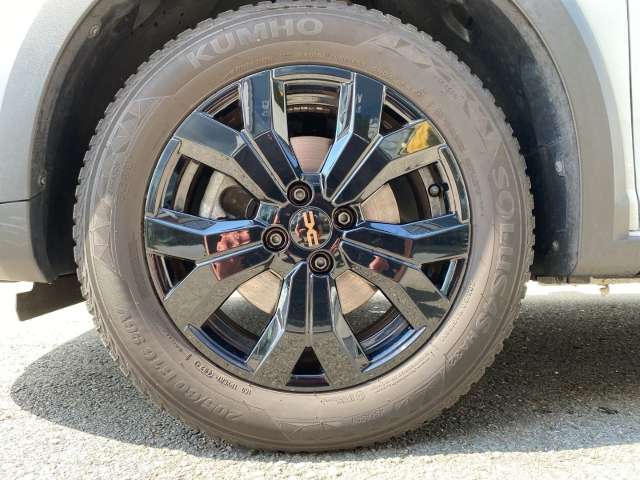 Fahrzeugbild eines Dacia Jogger