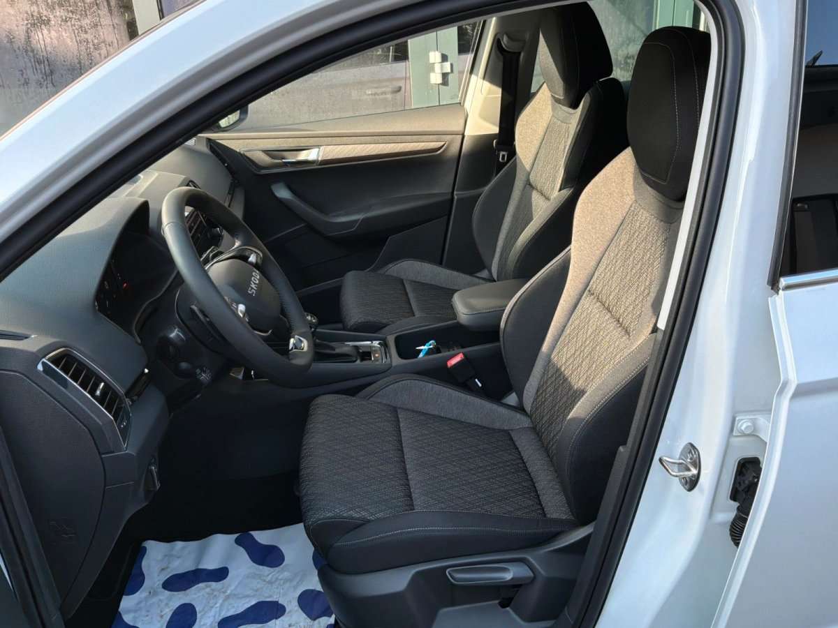 Fahrzeugbild eines Skoda Karoq