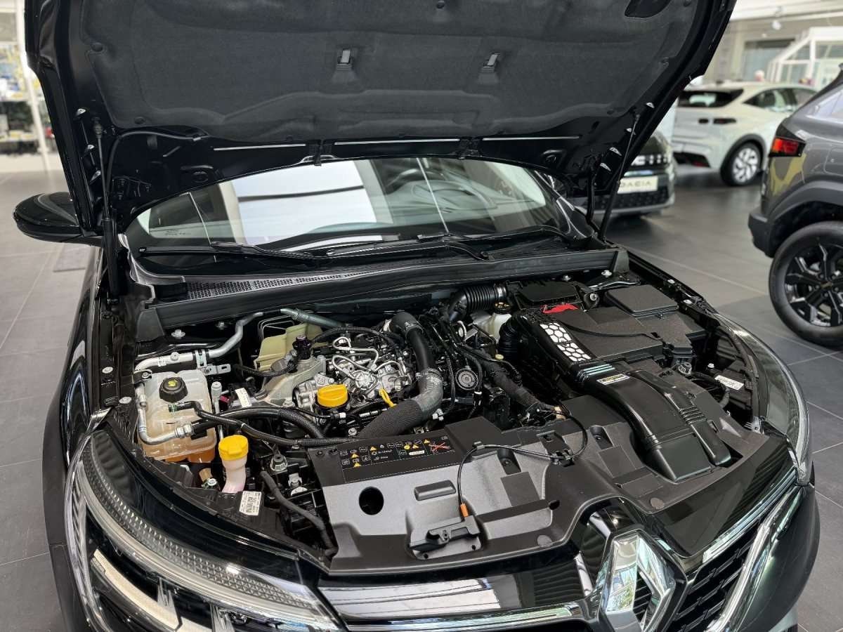 Fahrzeugbild eines Renault Mégane