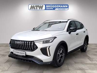 Bild GWM Haval Jolion Pro