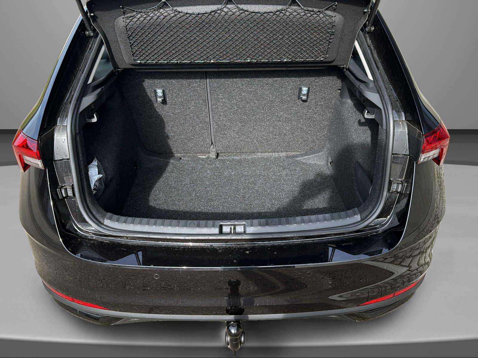 Fahrzeugbild eines Skoda Scala